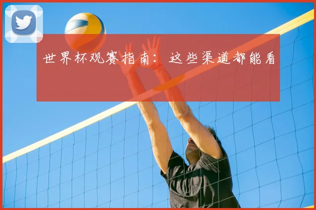 世界杯观赛指南:这些渠道都能看