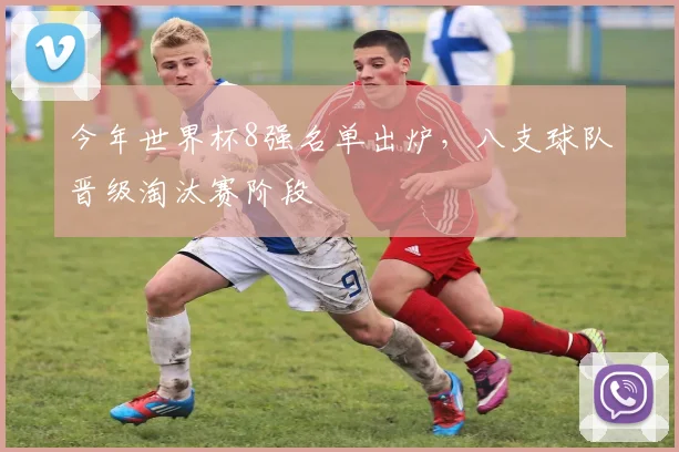 今年世界杯8强名单出炉,八支球队晋级淘汰赛阶段