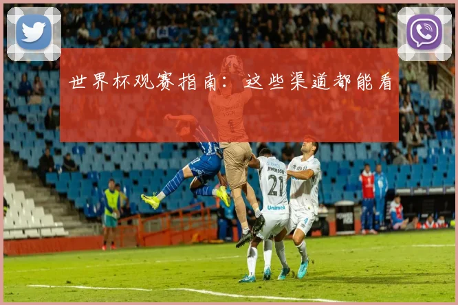 世界杯观赛指南:这些渠道都能看