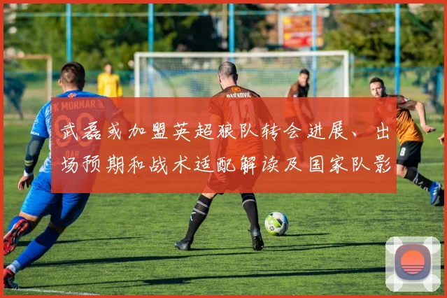 武磊或加盟英超狼队转会进展、出场预期和战术适配解读及国家队影响