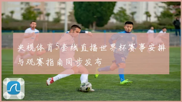 央视体育5套线直播世界杯赛事安排与观赛指南同步发布