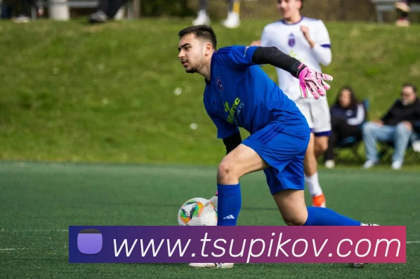 球盟会登录入口发展历程